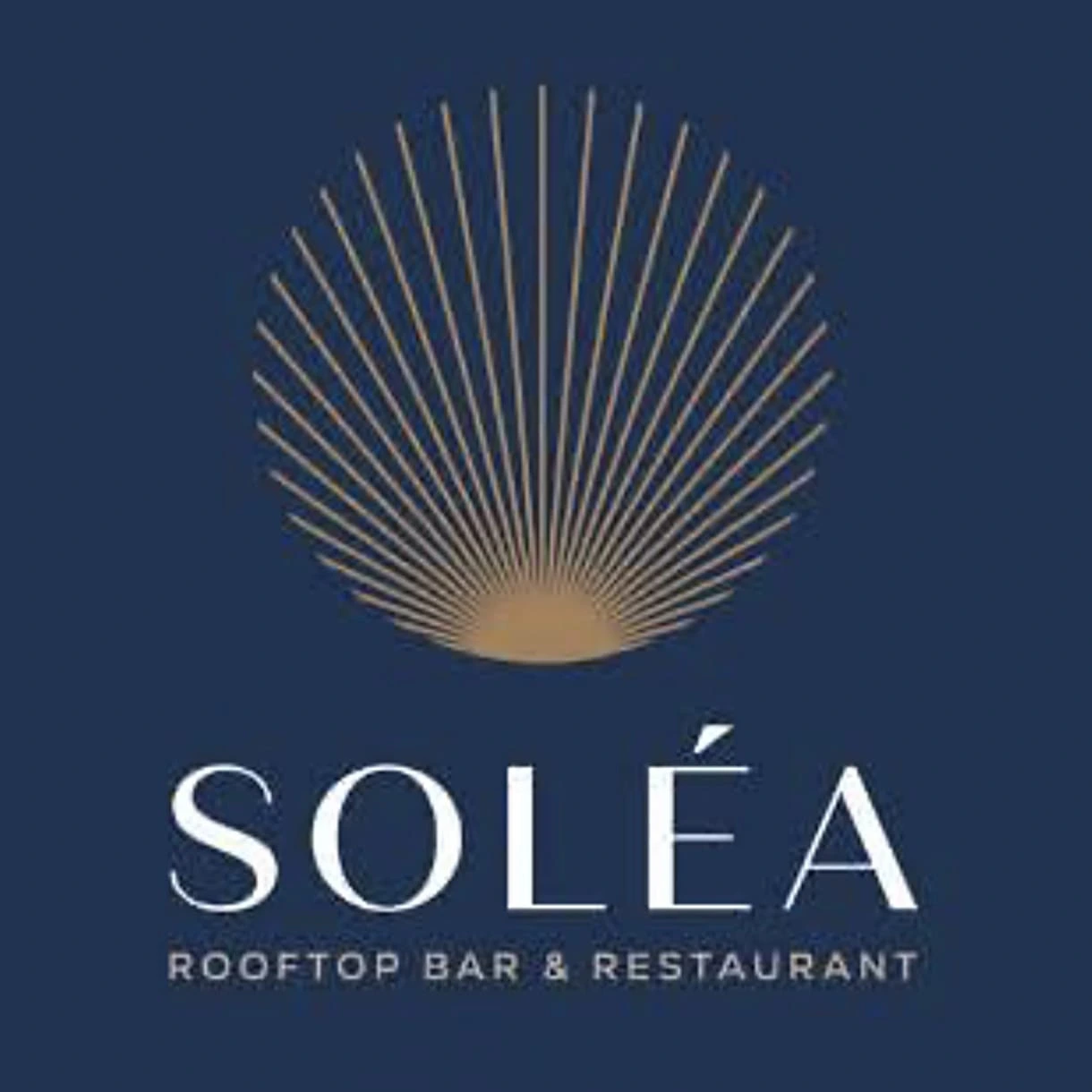 solea rooftop bar restaurant